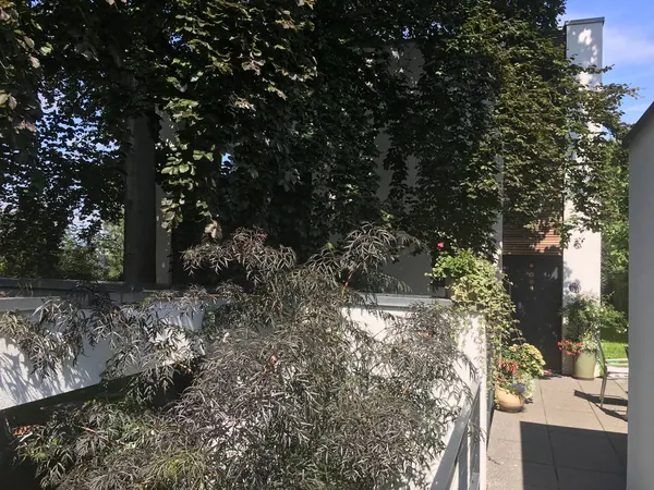 Die Terrasse vor der Tür — Holunder auf der Brüstung, Töpfe am Eingang — der Platz gehört zum Haus.